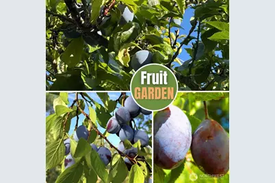 6015 116th Ave SE, Bellevue, WA 98006 - Photo 37