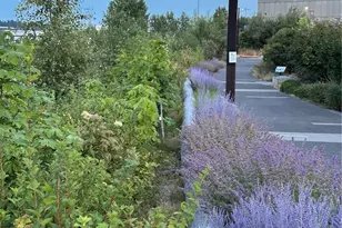 1450 S Donovan St, Seattle, WA 98108 - Photo 37