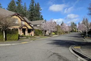 1716 250th Ct SE, Sammamish, WA 98075 - Photo 35