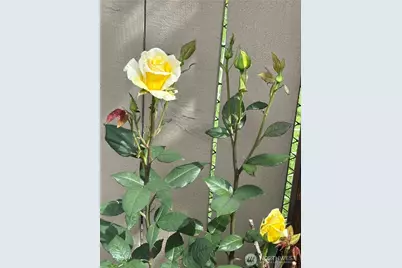 5613 Udall Avenue SE, Auburn, WA 98092 - Photo 33