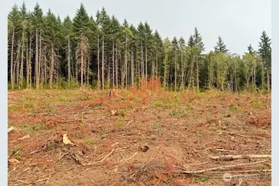 118 Woodberry Lane, Winlock, WA 98596 - Photo 9