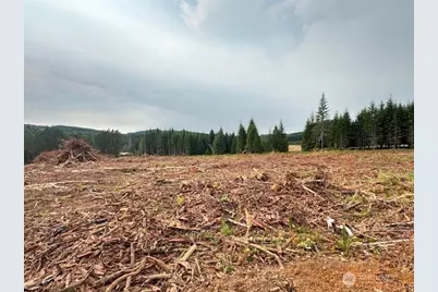 118 Woodberry Lane, Winlock, WA 98596 - Photo 11