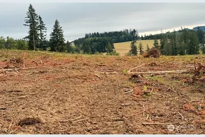 118 Woodberry Lane, Winlock, WA 98596 - Photo 7