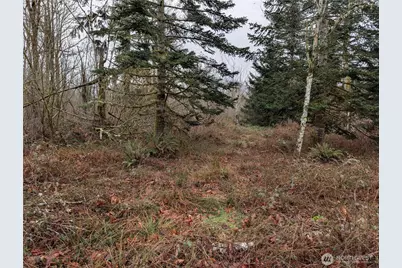 427 Xx 156th Street SE, Gold Bar, WA 98251 - Photo 1