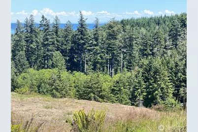 3 Xxxx Mt Jupiter Road, Brinnon, WA 98320 - Photo 19