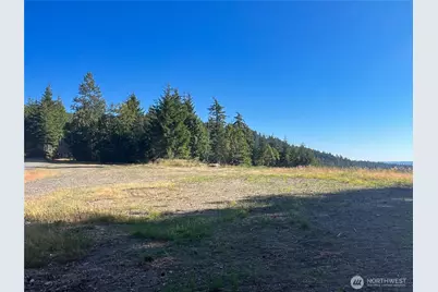 3 Xxxx Mt Jupiter Road, Brinnon, WA 98320 - Photo 11