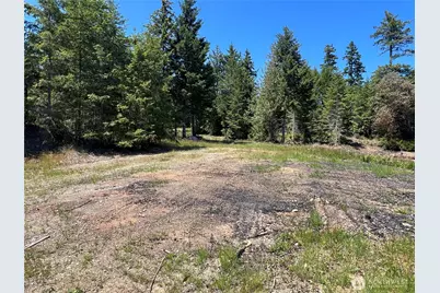 3 Xxxx Mt Jupiter Road, Brinnon, WA 98320 - Photo 13