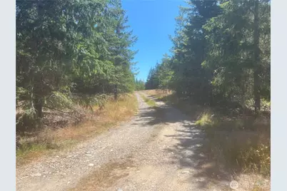 3 Xxxx Mt Jupiter Road, Brinnon, WA 98320 - Photo 27