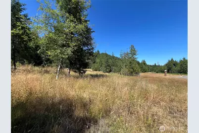 3 Xxxx Mt Jupiter Road, Brinnon, WA 98320 - Photo 31