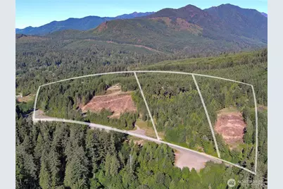 3 Xxxx Mt Jupiter Road, Brinnon, WA 98320 - Photo 5