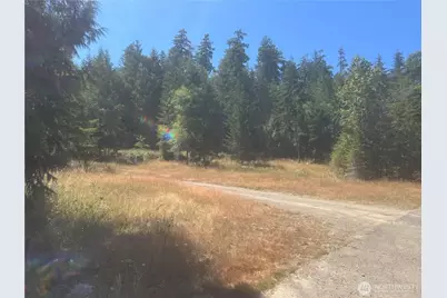 3 Xxxx Mt Jupiter Road, Brinnon, WA 98320 - Photo 29