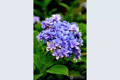 28220 71st Drive NW, Stanwood, WA 98292 - Photo 35