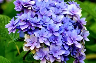 28220 71st Dr NW, Stanwood, WA 98292 - Photo 35