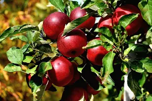 28220 71st Dr NW, Stanwood, WA 98292 - Photo 37