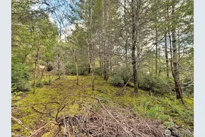 131 E Skyview Drive, Union, WA 98592 - Photo 9