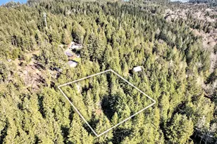 131 E Skyview Dr, Union, WA 98592 - Photo 1