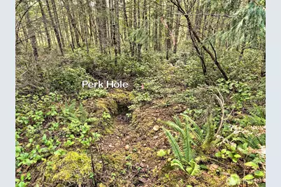 131 E Skyview Drive, Union, WA 98592 - Photo 11