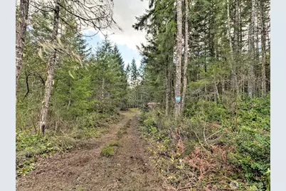 131 E Skyview Drive, Union, WA 98592 - Photo 3