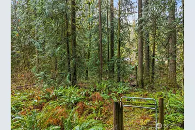 10618 Kelly Road NE, Carnation, WA 98014 - Photo 13