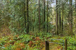 10618 Kelly Rd NE, Carnation, WA 98014 - Photo 13