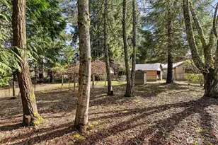 3424 26th Ave NE, Olympia, WA 98506 - Photo 19