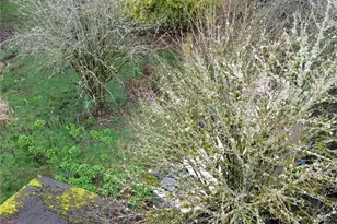 529 NW Past Dr, Poulsbo, WA 98370 - Photo 19