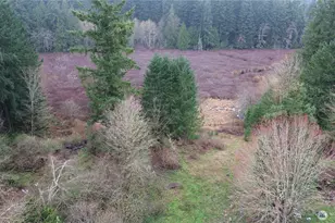 529 NW Past Dr, Poulsbo, WA 98370 - Photo 23