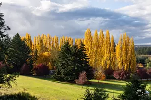 5427 Bayview Rd, Langley, WA 98260 - Photo 25