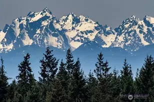 5427 Bayview Rd, Langley, WA 98260 - Photo 3