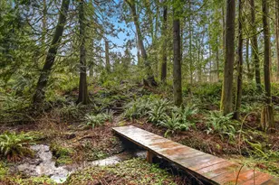 12284 196th Ave NE, Redmond, WA 98053 - Photo 35