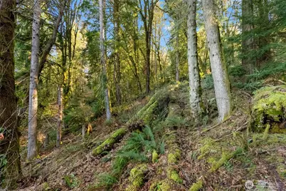 0 Talmo Drive NW, Gig Harbor, WA 98332 - Photo 11