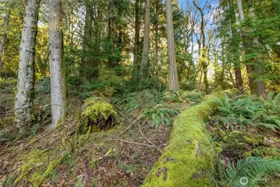 0 Talmo Drive NW, Gig Harbor, WA 98332 - Photo 13