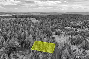 12613 Camus Rd, Anderson Island, WA 98303 - Photo 1