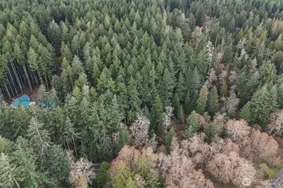 12613 Camus Road, Anderson Island, WA 98303 - Photo 11