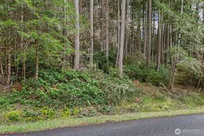 12613 Camus Road, Anderson Island, WA 98303 - Photo 15