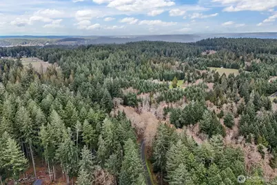 12613 Camus Road, Anderson Island, WA 98303 - Photo 7