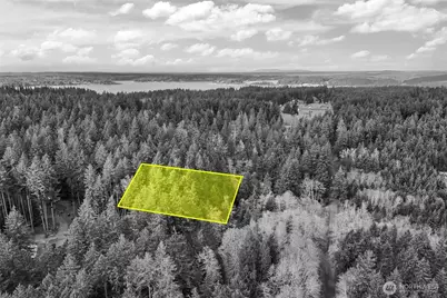 12613 Camus Road, Anderson Island, WA 98303 - Photo 13