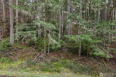 12613 Camus Road, Anderson Island, WA 98303 - Photo 17