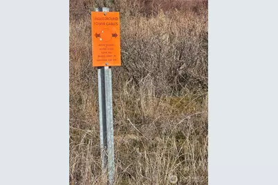 409 Tbd Eastlake Road, Oroville, WA 98844 - Photo 7