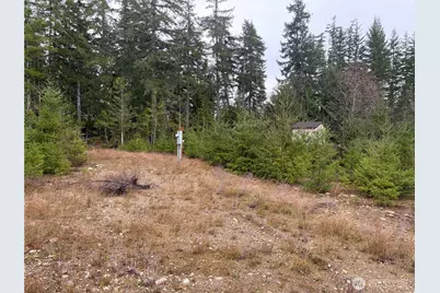 156 Whitney Road, Quilcene, WA 98376 - Photo 29
