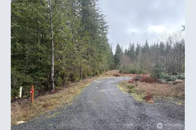 156 Whitney Road, Quilcene, WA 98376 - Photo 31