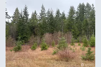 156 Whitney Road, Quilcene, WA 98376 - Photo 35