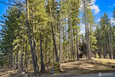 7 Tumble Creek Drive, Cle Elum, WA 98922 - Photo 7