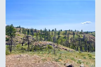 0 Tbd Madd Mtn Road, Okanogan, WA 98840 - Photo 3