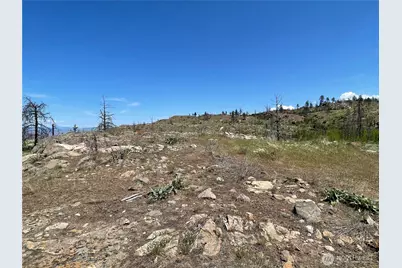 0 Tbd Madd Mtn Road, Okanogan, WA 98840 - Photo 7