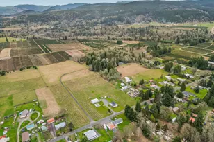 156 Damron Rd, Mossyrock, WA 98564 - Photo 33