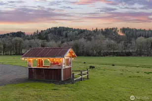 65 Wilderness Rd, Oakville, WA 98568 - Photo 25