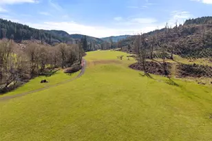 65 Wilderness Rd, Oakville, WA 98568 - Photo 35