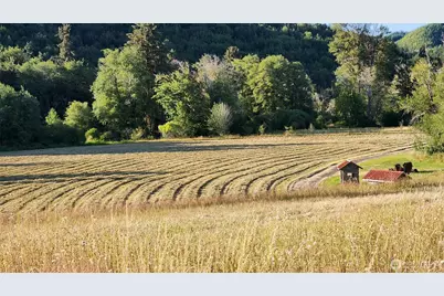 65 Wilderness Road, Oakville, WA 98568 - Photo 37