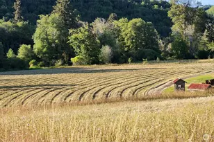 65 Wilderness Rd, Oakville, WA 98568 - Photo 37